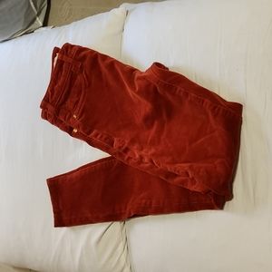 High Rise Skinny Jeans